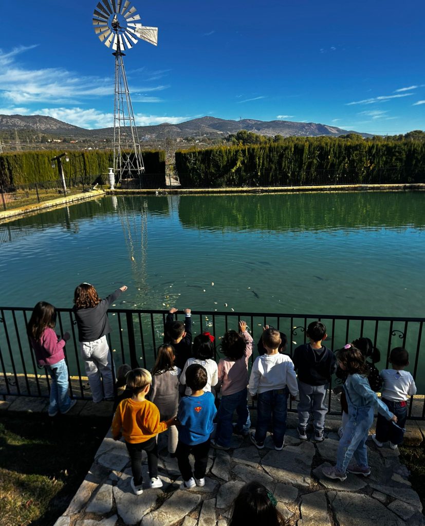 4621f3ee B4fa 48e2 889e F1faadbea86a 827x1024